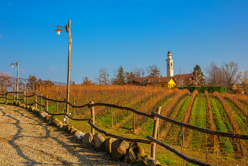 Surroundings of Gavi, Alessandria, Piedmont, Italy, Europe