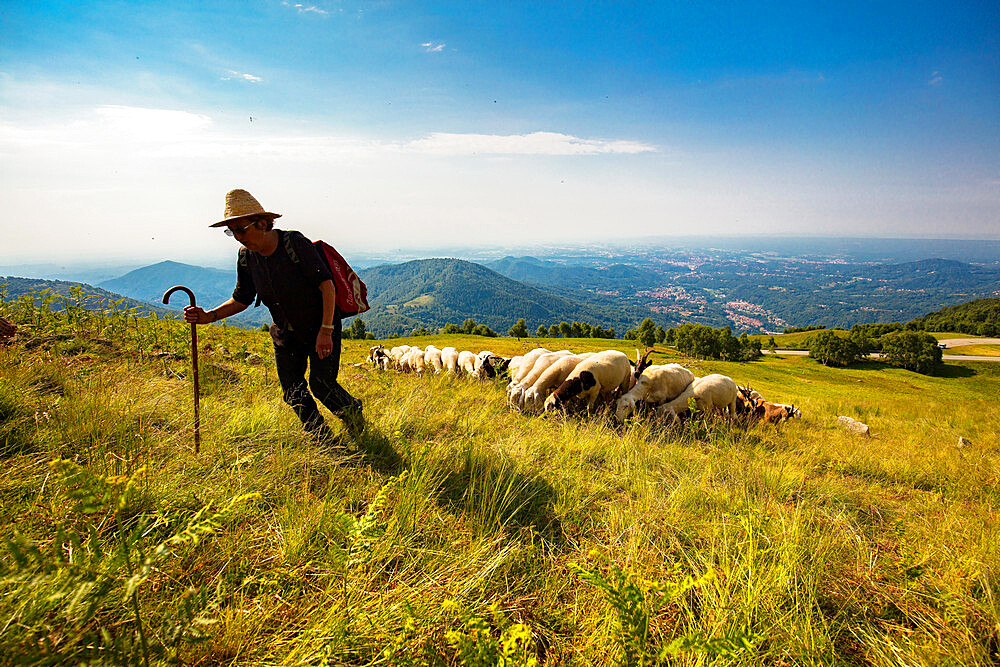 Localita Cascina Lunga, Biella, Piedmont, Italy, Europe