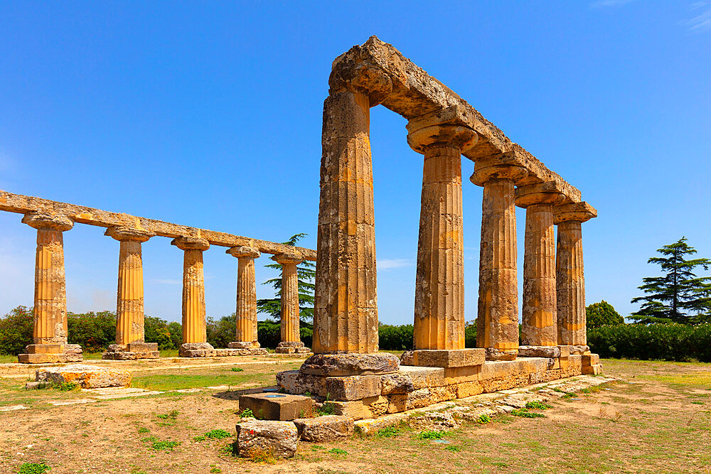 Temple of Hera (Palatine Tables), Bernalda, Matera, Basilicata, Italy, Europe