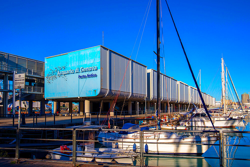 Aquarium of Genoa, Genoa (Genova), Liguria, Italy, Europe