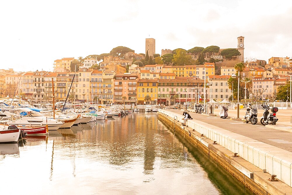 Cannes, Alpes-Maritimes, Provence-Alpes-Cote d'Azur, France, Mediterranean, Europe