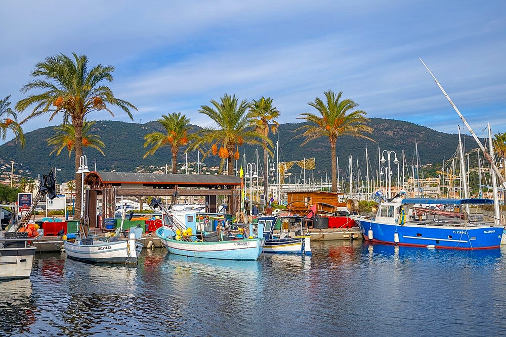 Cavalaire-sur-Mer, Provence-Alpes-Cote d'Azur, France, Mediterranean, Europe