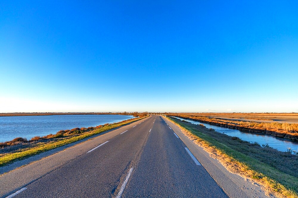 Route de Caharel, Saintes-Maries-de-la Mer, Camargue, Bouches du Rhone, Provence-Alpes-Cote d'Azur, France, Mediterranean, Europe