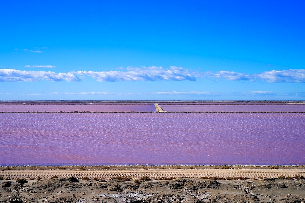 Salin-de-Giraud, Arles, Bouches-du-Rhone, Provence-Alpes-Cote d'Azur, France, Mediterranean, Europe