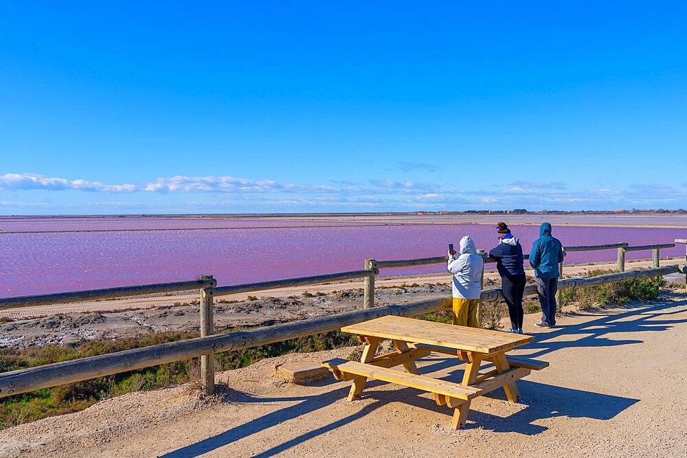 Salin-de-Giraud, Arles, Bouches-du-Rhone, Provence-Alpes-Cote d'Azur, France, Mediterranean, Europe