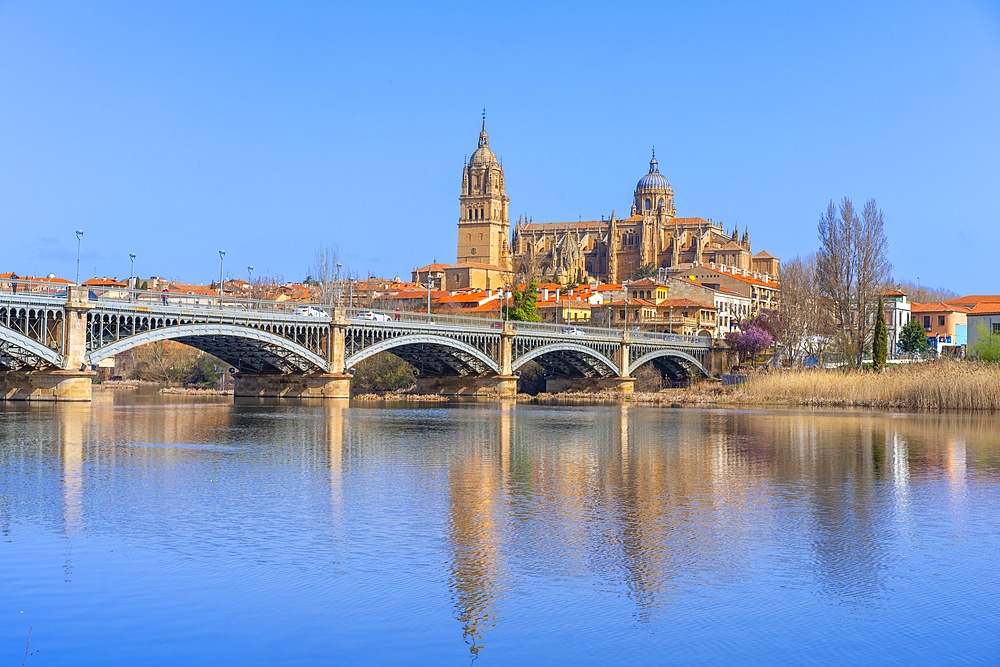 Tormes river, New Cathedral of Salamanca, Catedral de la Asunción de la Virgen, Salamanca, Castile and León, Spain