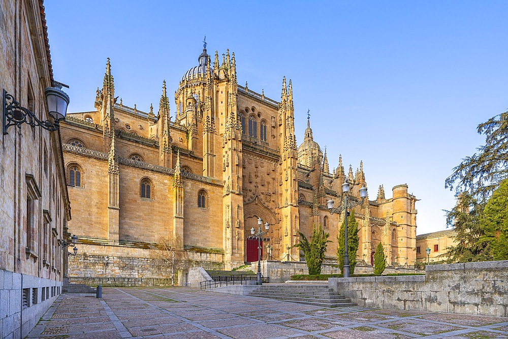 New Cathedral of Salamanca, Catedral de la Asunción de la Virgen, Salamanca, Castile and León, Spain