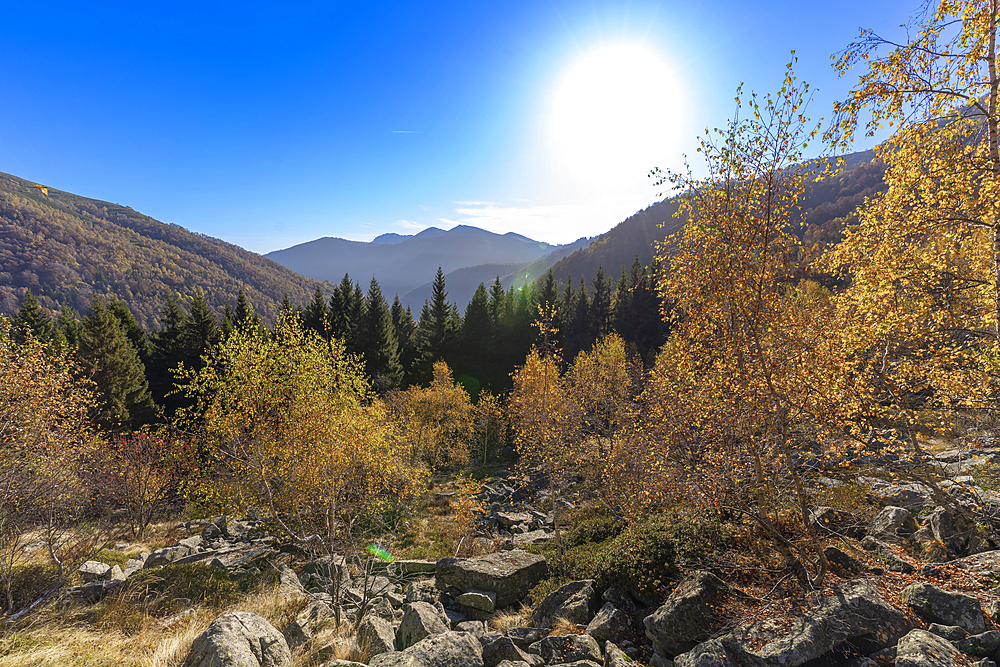 Oasi Zegna, Biella, Piedmont, Italy