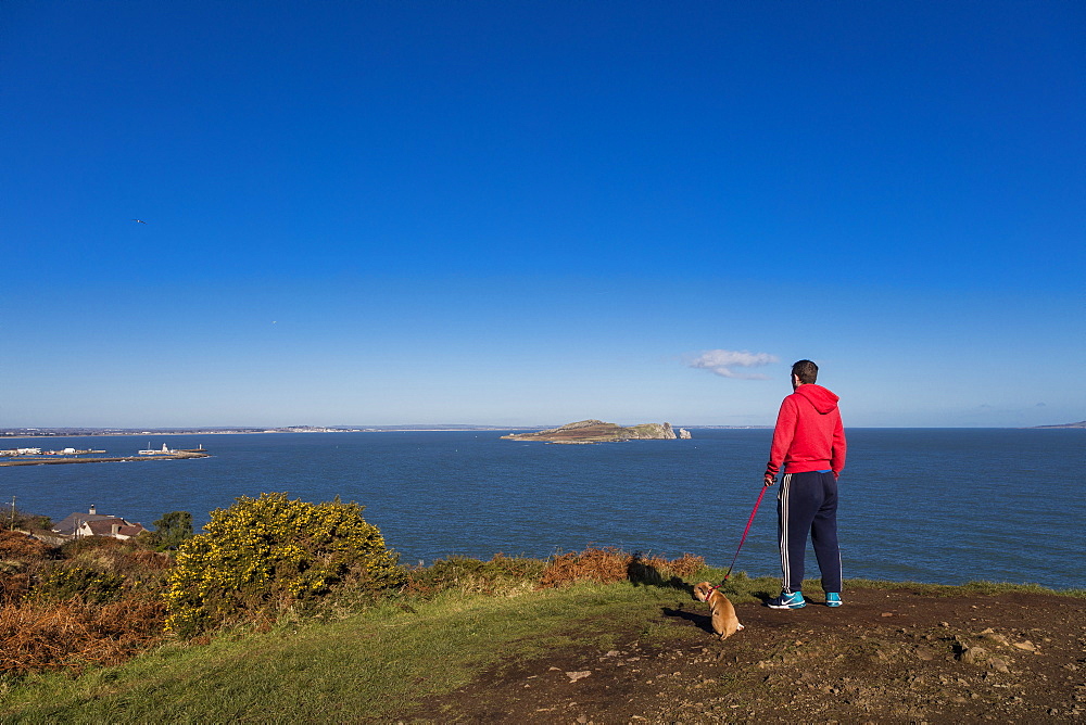 The Cliff Path, Howth, County Dublin, Leinster, Republic of Ireland, Europe