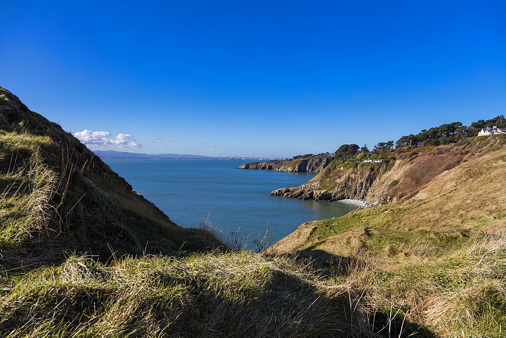 The Cliff Path, Howth, County Dublin, Leinster, Republic of Ireland, Europe