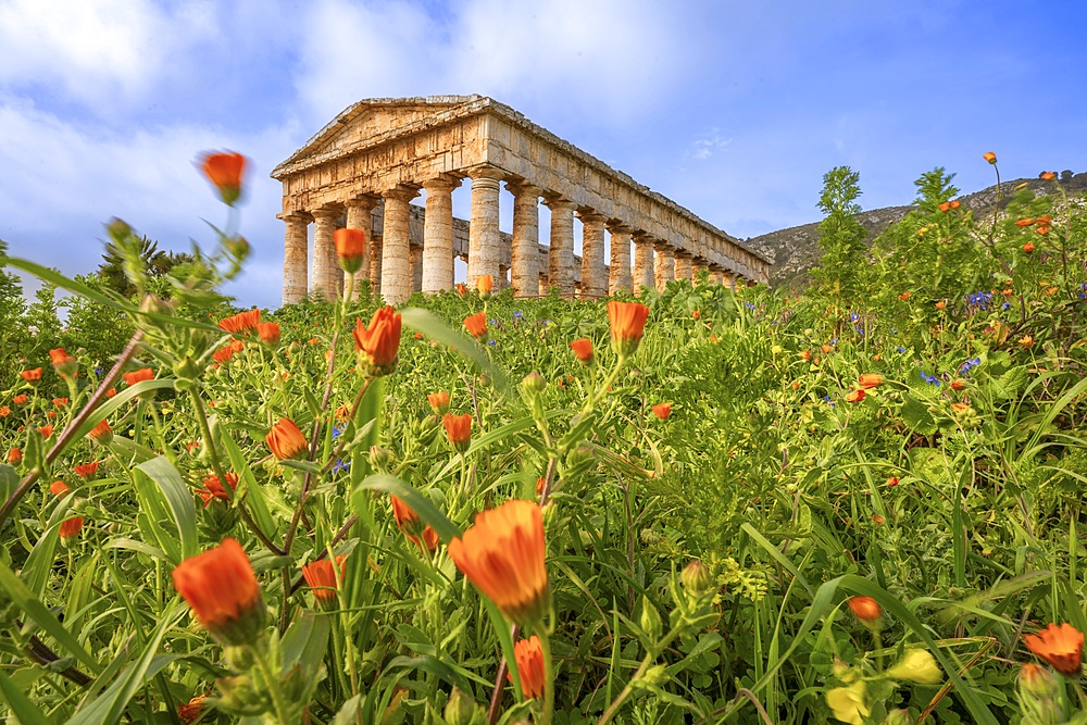 Doric temple, Segesta, Calatafimi , Trapani, Sicily, Italy