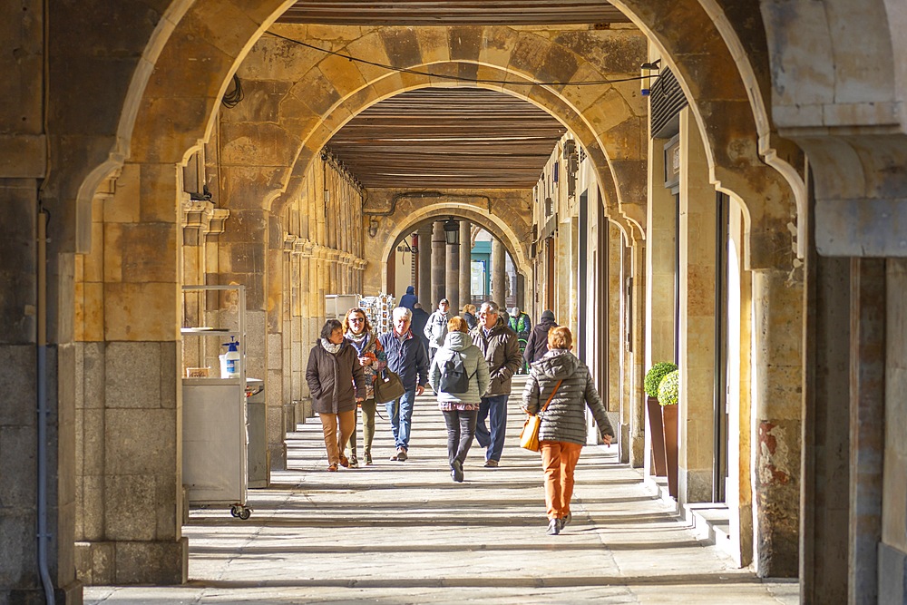 Plaza Mayor, main square, Salamanca, Castile and León, Spain