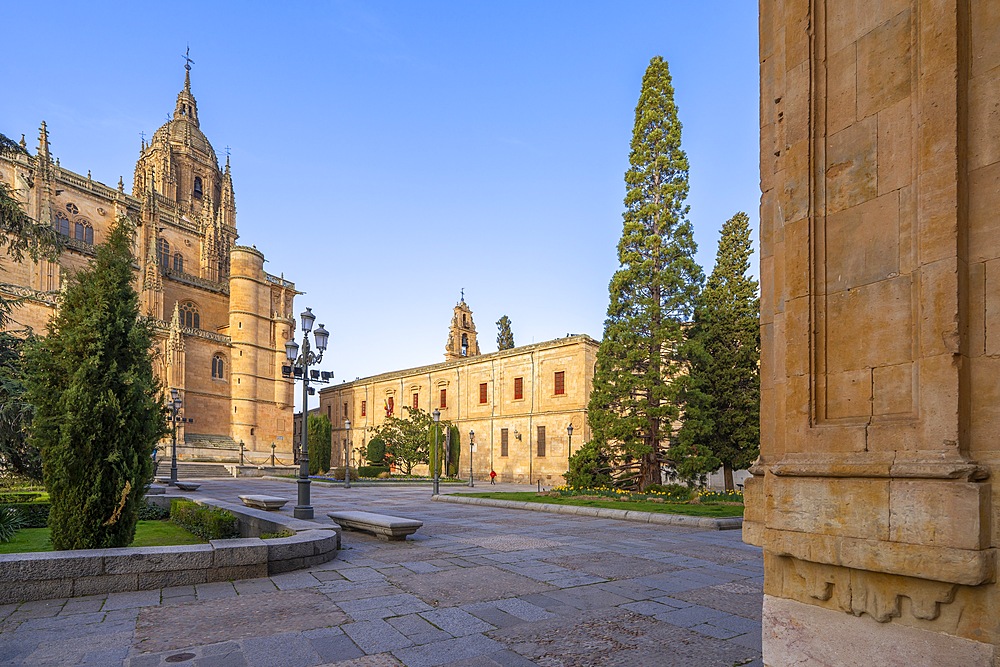 New Cathedral of Salamanca, Catedral de la Asunción de la Virgen, Salamanca, Castile and León, Spain