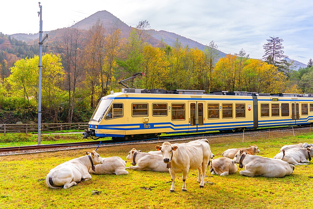 Re, Vigezzina-Centovalli train, Valle Vigezzo, VAl d'Ossola, Verbania, Piedmont, Italy