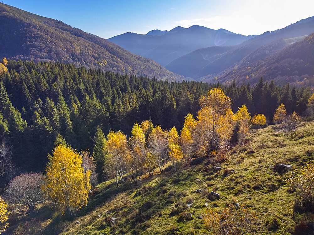 Oasi Zegna, Biella, Piedmont, Italy