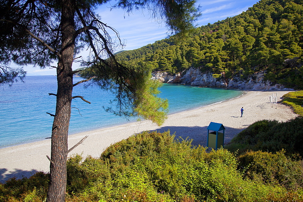 Kastani Beach, Skopelos, Sporades Island group, Greek Islands, Greece, Europe