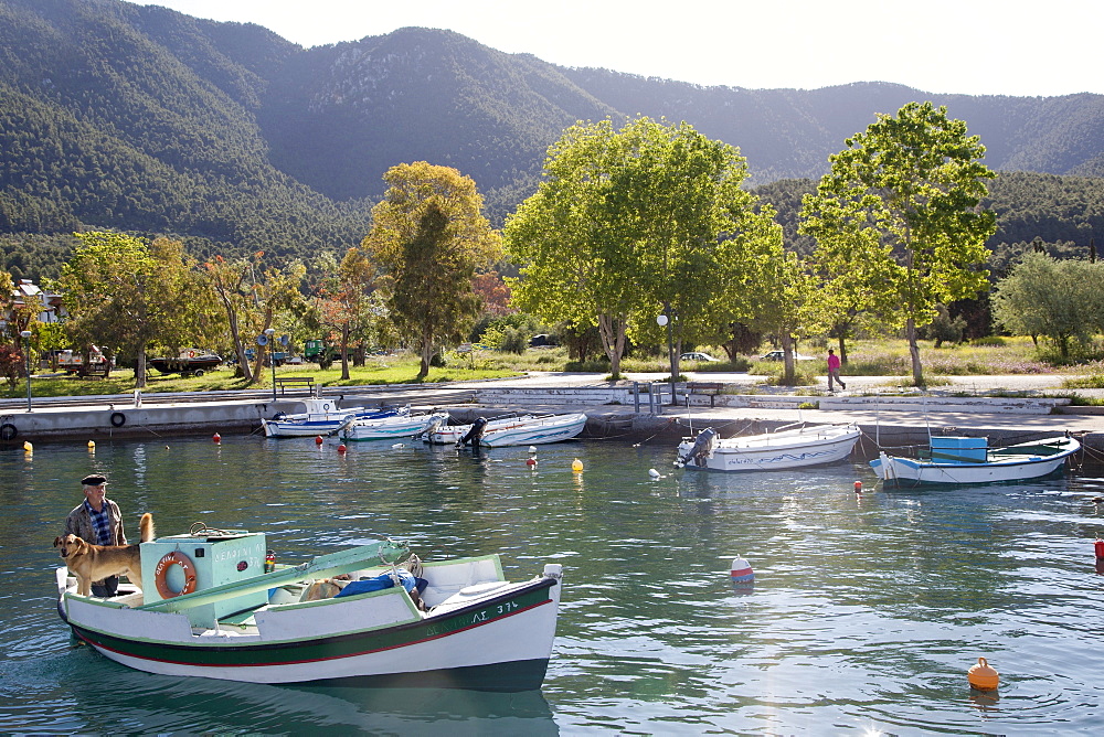 Elios, Skopelos, Sporades Island group, Greek Islands, Greece, Europe