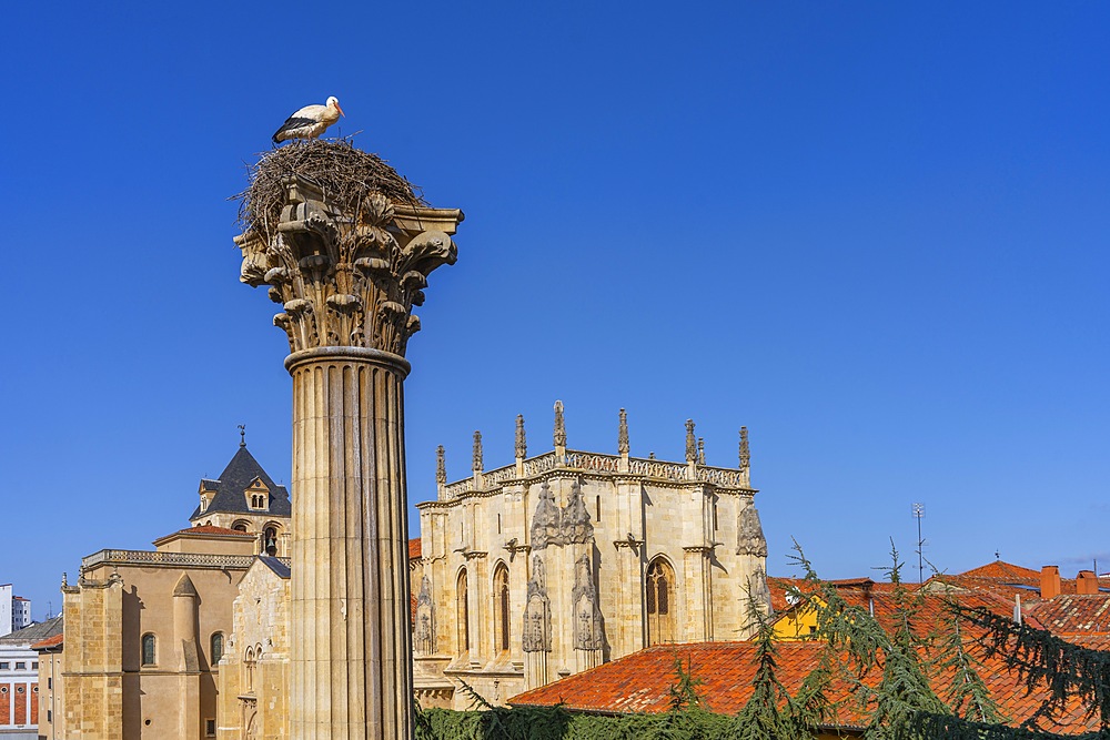 Plaza San Isidoro, León, Castile and León, Spain