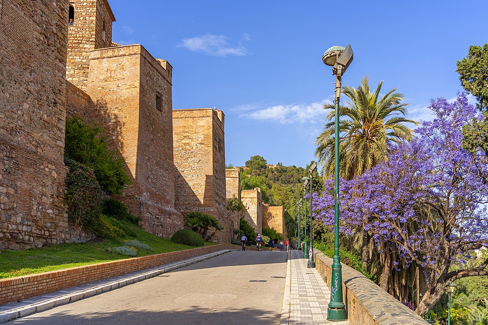 Alcazaba, Malaga, Andalusia, Spain