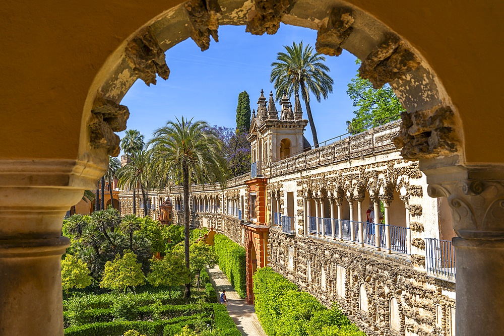 Alcazar Gardens, Alcazar of Seville, Seville, Andalusia, Spain