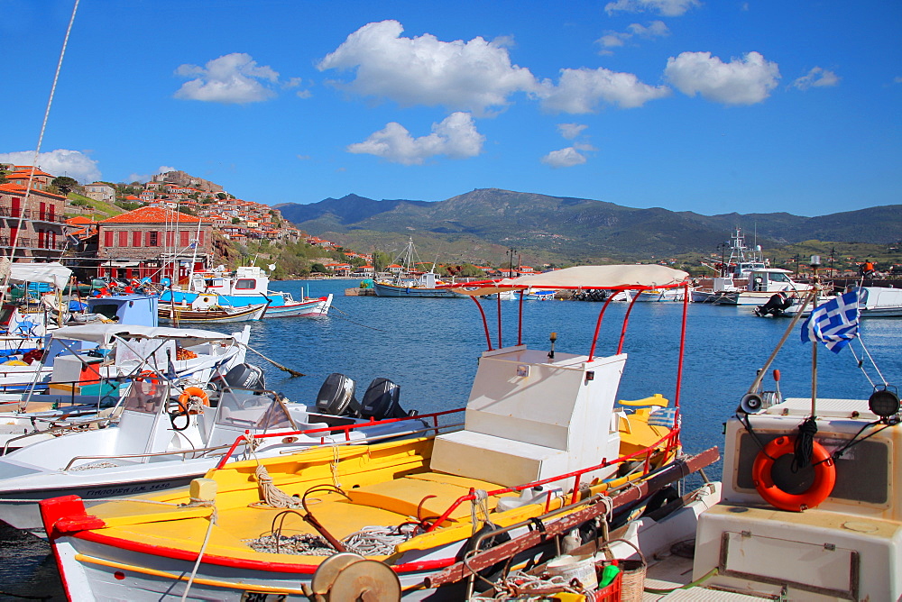 The port of Molivos, Lesvos Island, Greek Islands, Greece, Europe