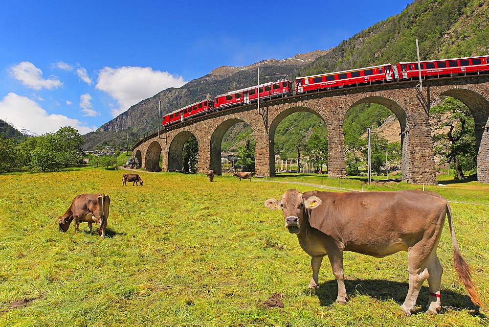 The Bernina Express, Viaduct of Brusio, UNESCO World Heritage Site, Lombardy, Italy, Europe