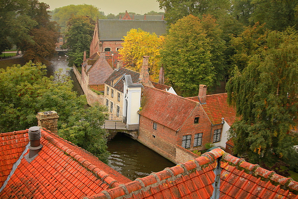 Beguinage, UNESCO World Heritage Site, Bruges, Flemish Region, West Flanders, Belgium, Europe