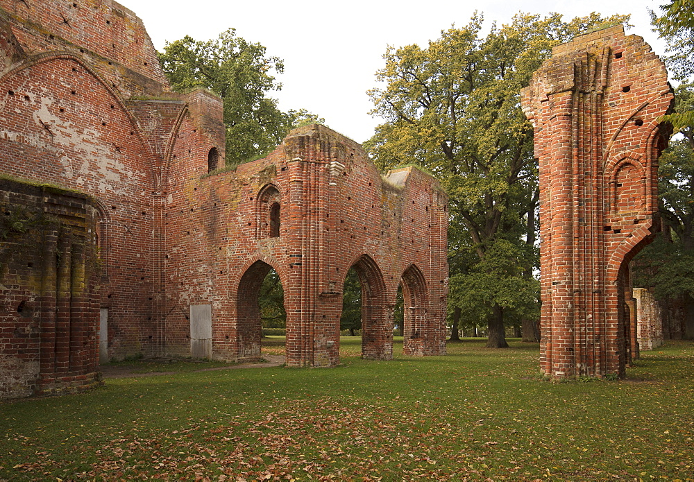 Eldena Abbey, Village of Wieck, Greifswald, Mecklenburg-Vorpommern, Germany, Europe