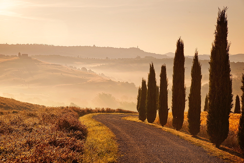 Surroundings, Pienza, Tuscany, Italy, Europe