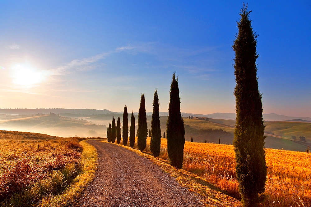 Surroundings, Pienza, Val d'Orcia, UNESCO World Heritage Site, Tuscany, Italy, europe