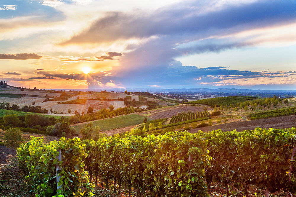 On the Fausto Coppi's roads, the view from the Rampina, white road of the Cycling race La Mitica, from Villaromagnano to Costa Vescovado, Tortona area, Alessandria, Piedmont, Italy, Europe