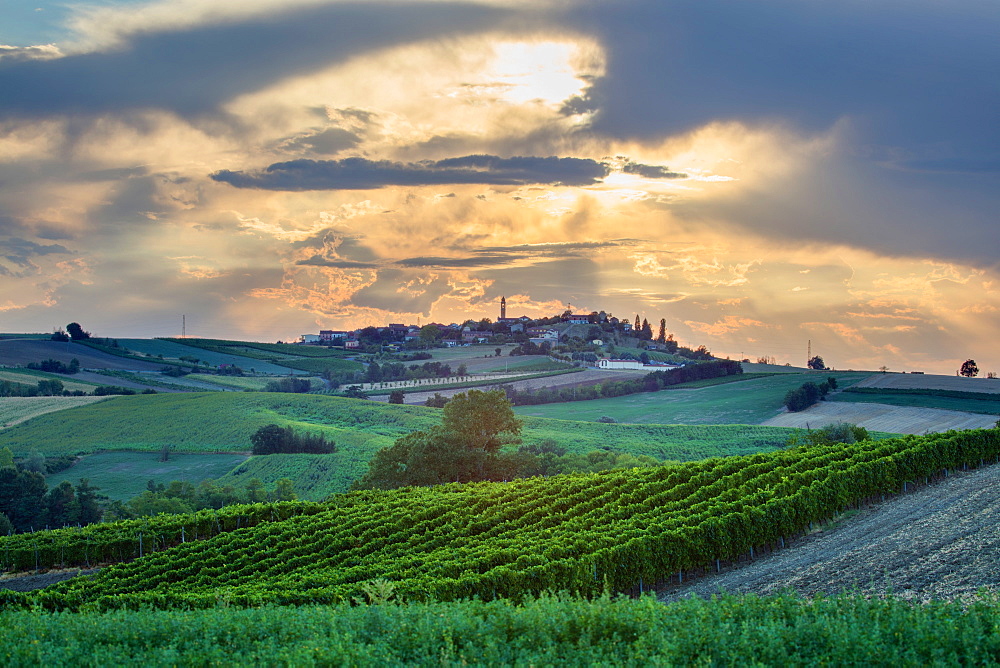 On the Fausto Coppi's roads, the view from the Rampina, white road of the Cycling race La Mitica, from Villaromagnano to Costa Vescovado, Tortona area, Alessandria, Piedmont, Italy, Europe