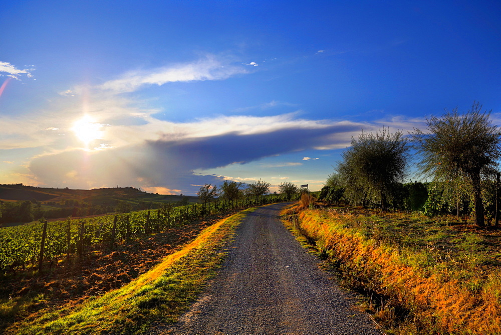 On the Fausto Coppi's roads, the view from the Rampina, white road of the Cycling race La Mitica, from Villaromagnano to Costa Vescovado, Tortona area, Alessandria, Piedmont, Italy, Europe