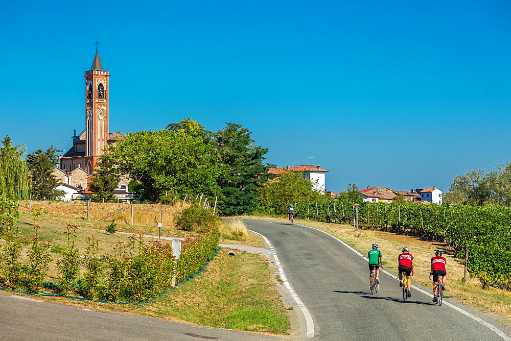 On the Fausto Coppi's roads, Costa Vescovato, Tortona area, Alessandria, Piedmont, Italy, Europe