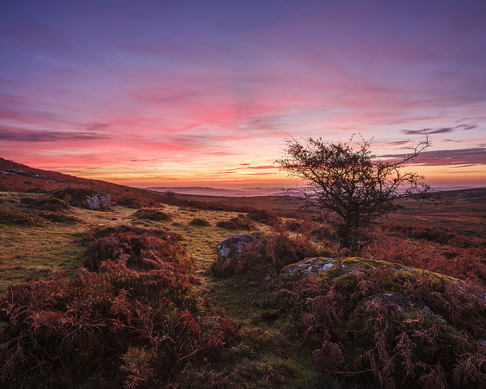 Twilight on the slopes below Saddle Tor with mist in the Teign Valley, Dartmoor National Park, Bovey Tracey, Devon, England, United Kingdom, Europe