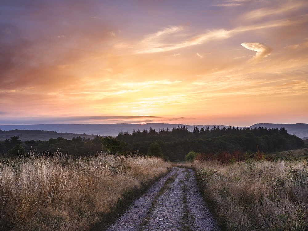 Colourful dawn clouds above a track on the heathland of Woodbury Common, near Exmouth, Devon, England, United Kingdom, Europe