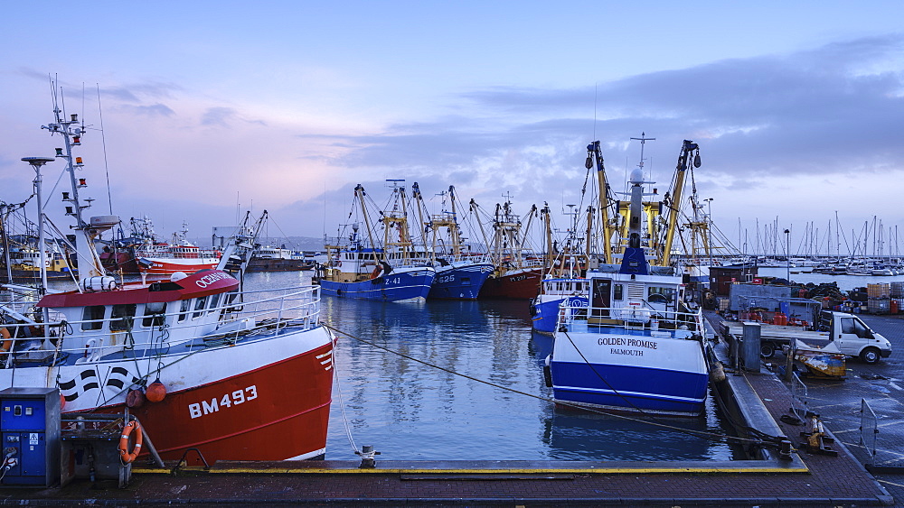 Trawlers moored alongside in the fishing port of Brixham, Devon, England, United Kingdom, Europe