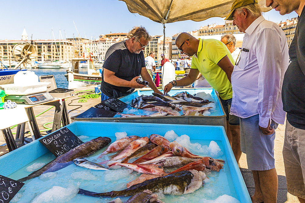 Fish market in the Old Port in Marseille, Bouches du Rhone, Provence, Provence Alpes Cote d'Azur, France, Mediterranean, Europe