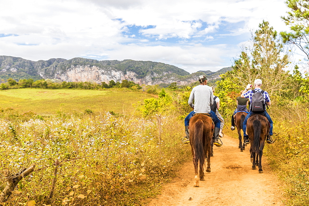 Tourists on a horse tour in Vinales National Park, UNESCO World Heritage Site, Vinales Valley, Vinales, Cuba, West Indies, Caribbean, Central America