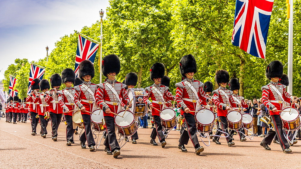 Bandsmen during Trooping the Colour in London, England, United Kingdom, Europe