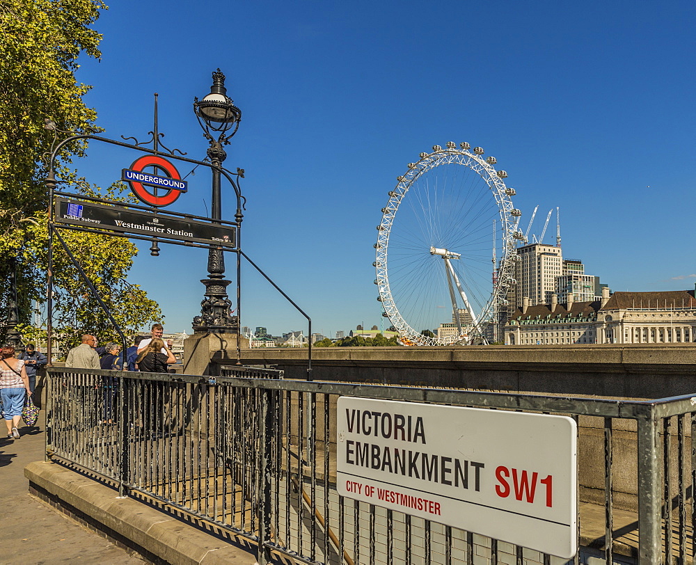 The London Eye from Victoria Embankment, London, England, United Kingdom, Europe