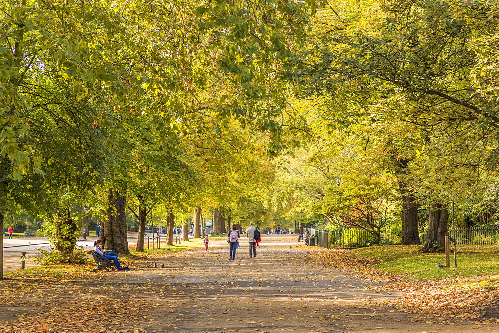 Hyde Park, London, England, United Kingdom, Europe