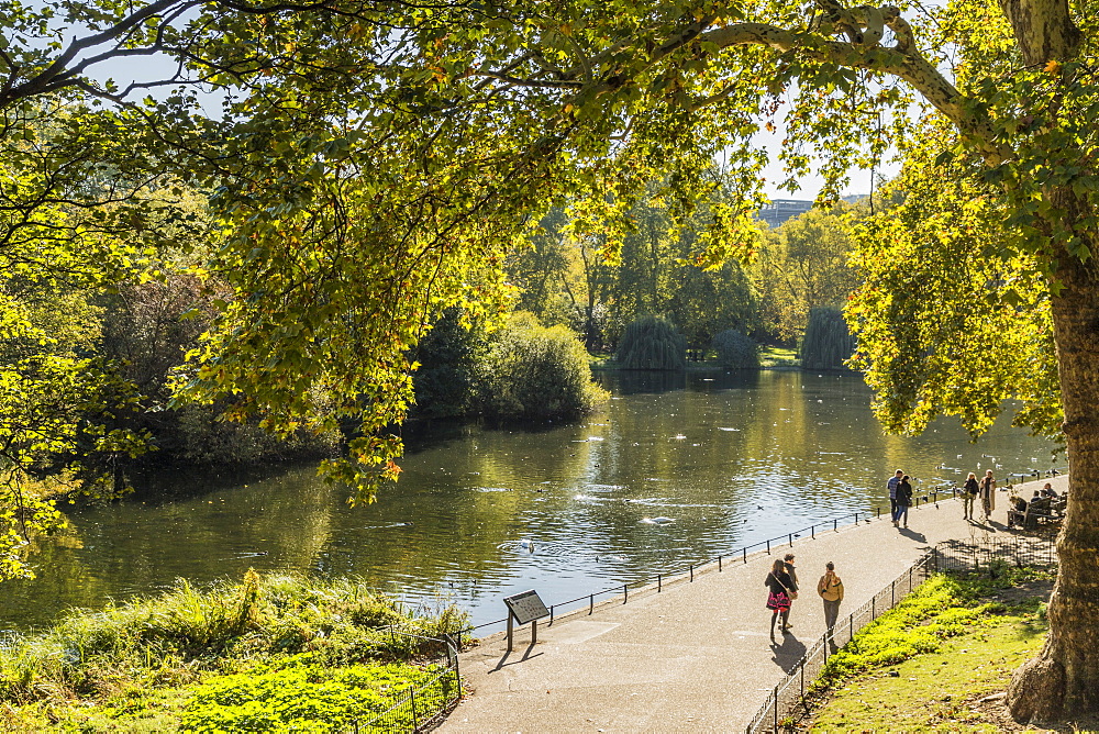 A view of St. James's Park lake in St. James's Park, London, England, United Kingdom, Europe