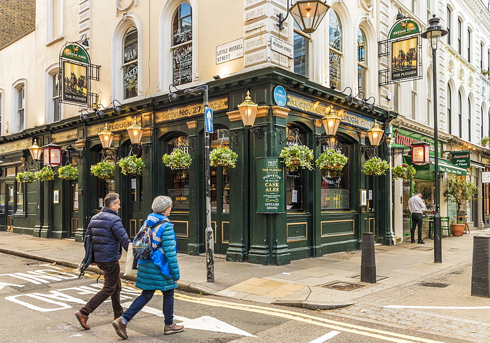 The Plough pub in Bloomsbury, London, England, United Kingdom, Europe