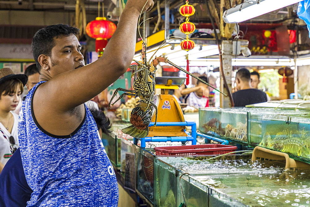 Live seafood for sale at the indoor Banzaan food market in Patong, Phuket, Thailand, Southeast Asia, Asia