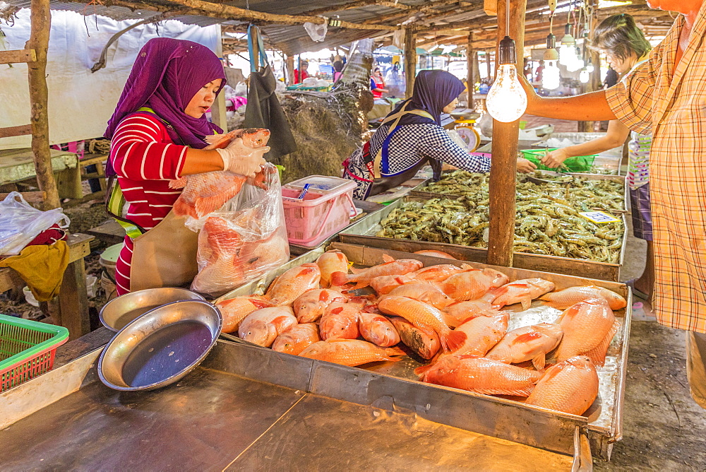 Fresh seafood for sale at the local market in Ao Nang, Krabi Province, Thailand, Southeast Asia, Asia