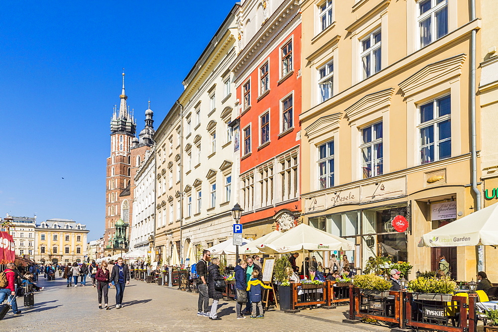 The main square, Rynek Glowny, in the medieval old town, UNESCO World Heritage Site, Krakow, Poland, Europe