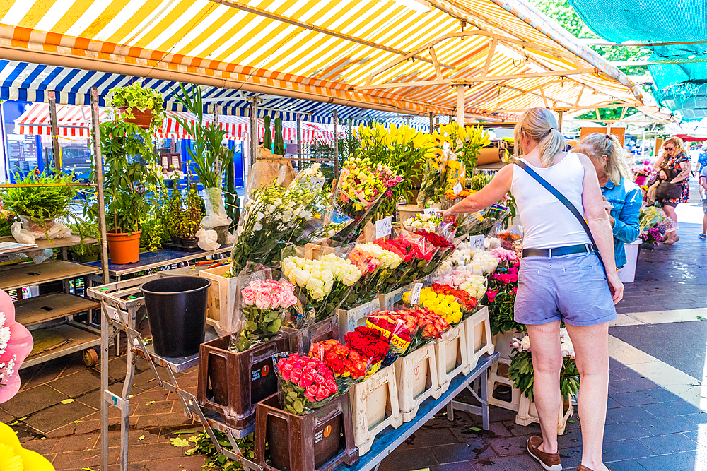 The flower market at Cours Saleya Market, Old Town , Nice, Alpes Maritimes, Cote d'Azur, French Riviera, Provence, France, Mediterranean, Europe