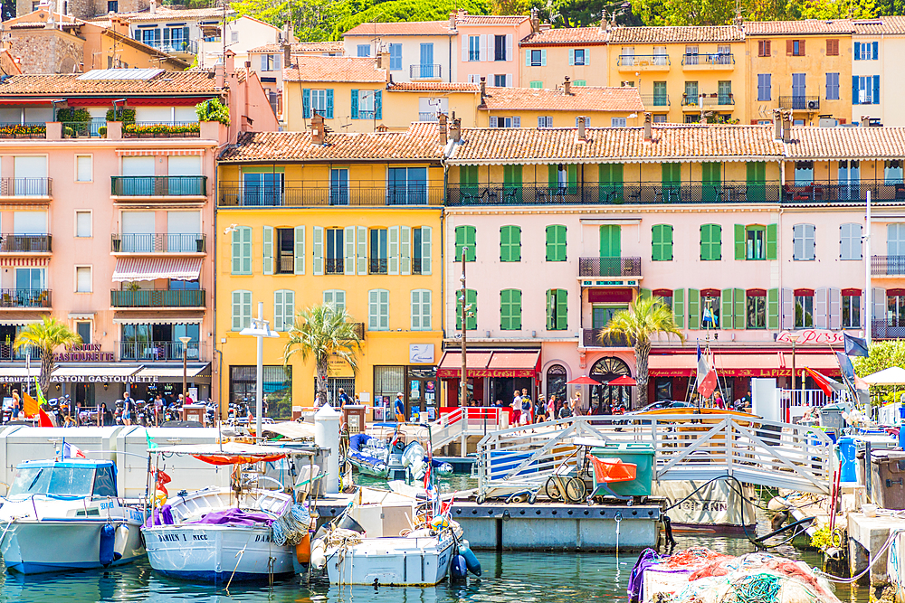 Le Vieux Port harbour in Cannes, Alpes Maritimes, Cote d'Azur, Provence, French Riviera, France, Mediterranean, Europe