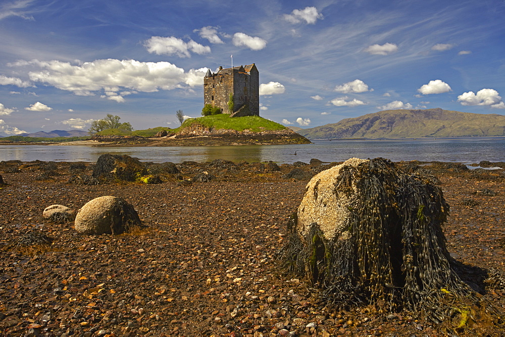 Castle Stalker on Loch Linnhe, Port Appin, Argyll, Scotland, United Kingdom, Europe